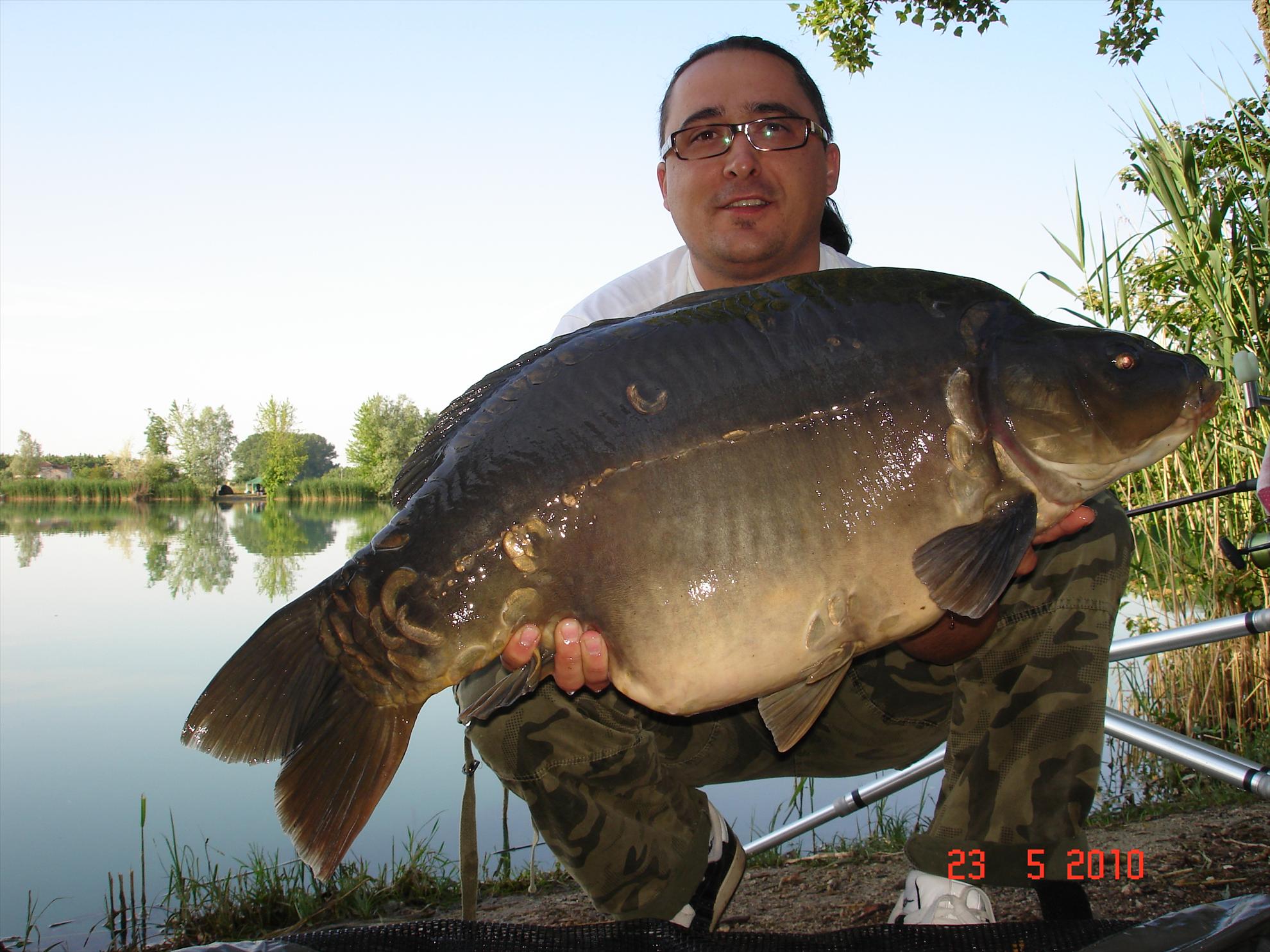 THE BIGS OF 2010 - p1000081.JPG